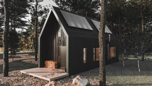 tiny home adu